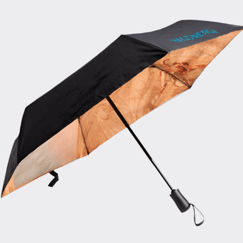 biltmore library ceiling umbrella 308874